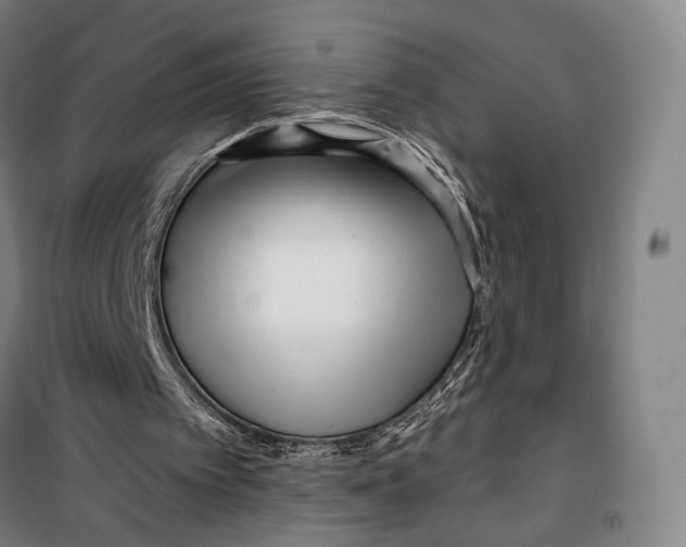 X0000099580097200806061636