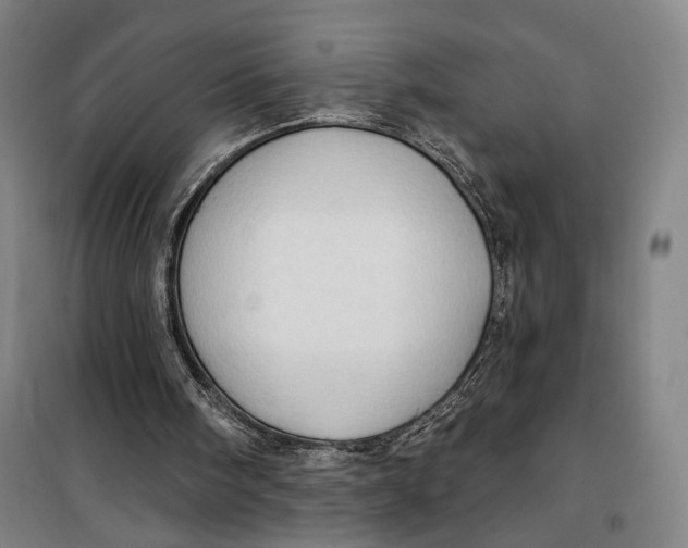 X0000099580098200806061636