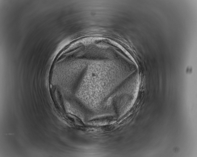 X0000099580099200806061636