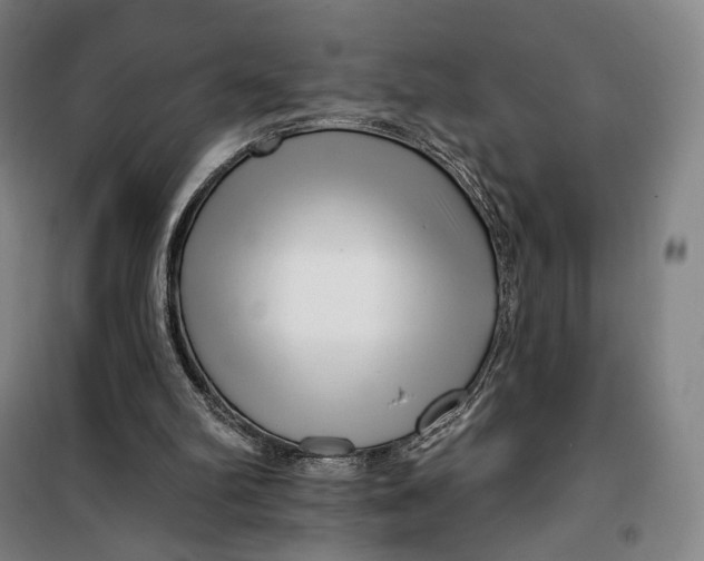 X0000099580102200806061636