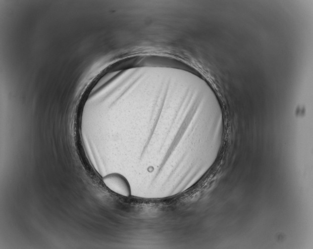 X0000099580103200806061636