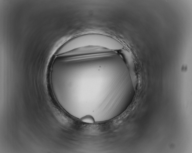 X0000099580104200806061636