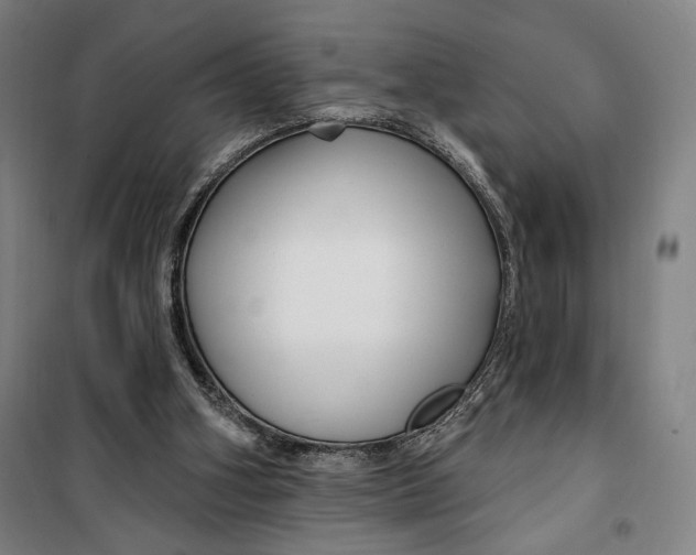 X0000099580106200806061636