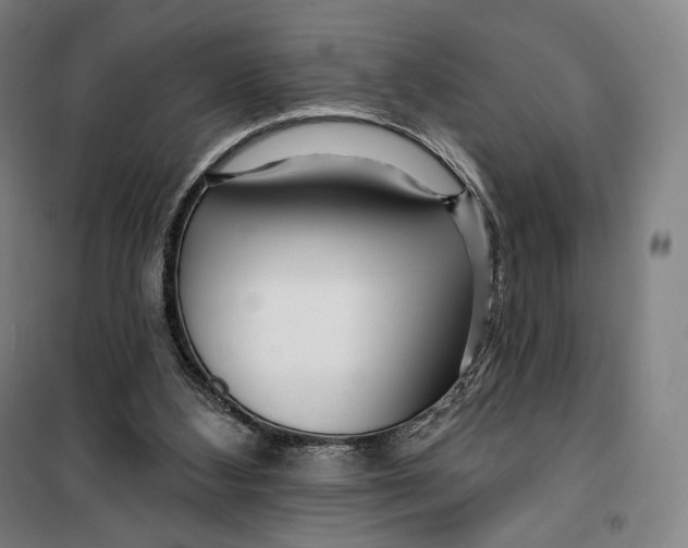 X0000099580108200806061636