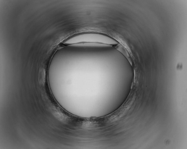 X0000099580109200806061636