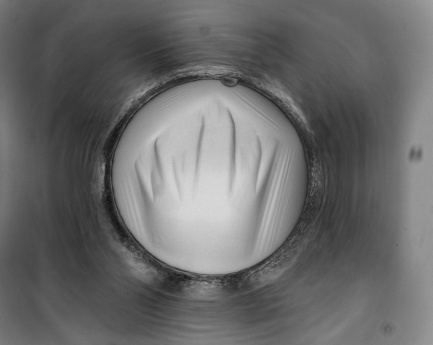 X0000099580110200806061636