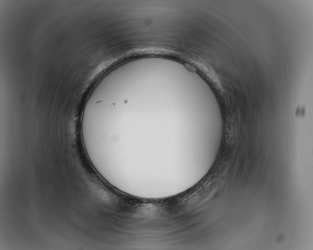 X0000099580111200806061636