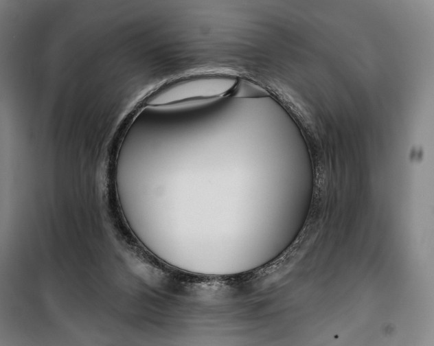 X0000099580112200806061636