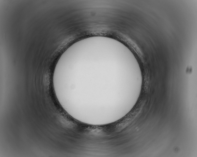 X0000099580113200806061636