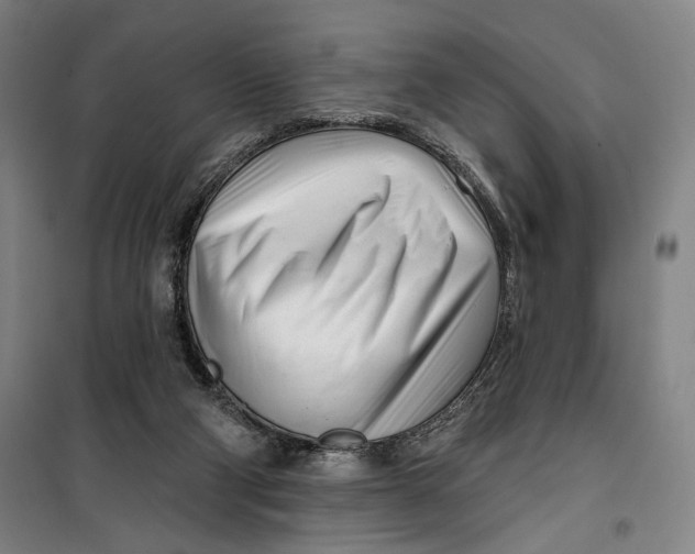 X0000099580114200806061636