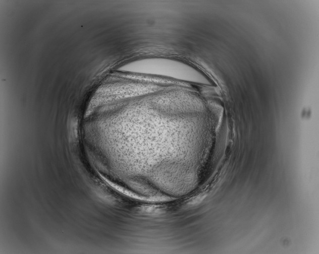 X0000099580117200806061636