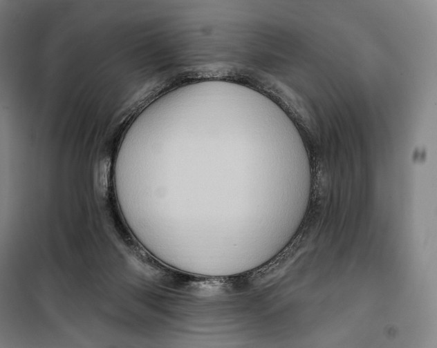 X0000099580118200806061636