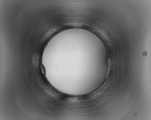 X0000099580120200806061636