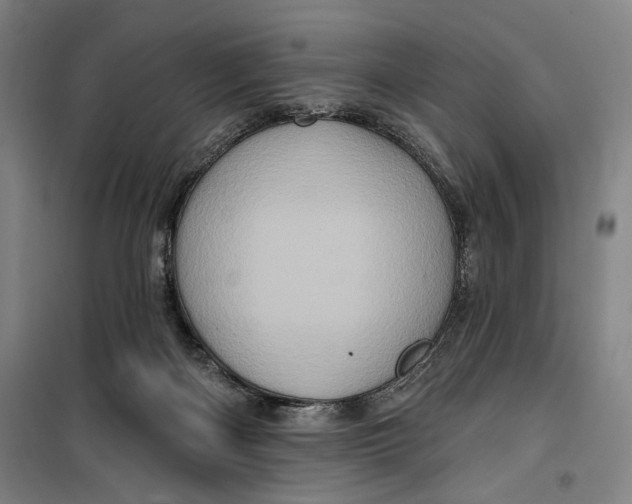 X0000099580122200806061636