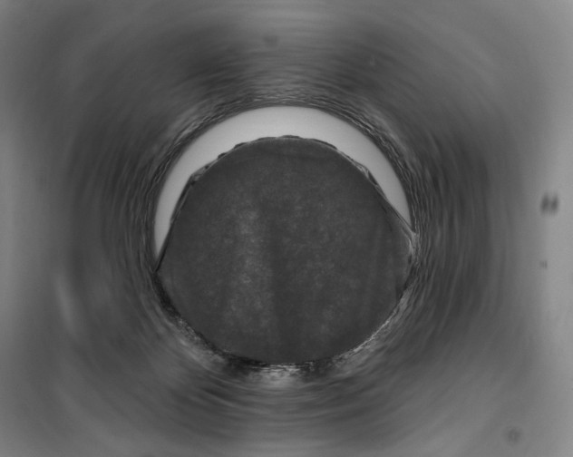 X0000099580124200806061636