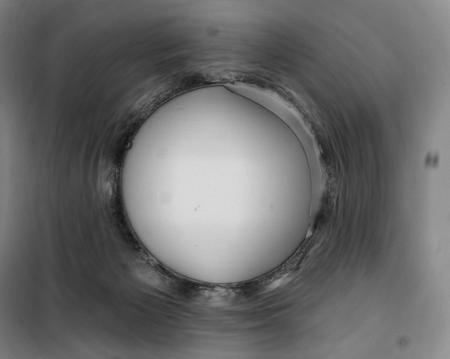 X0000099580125200806061636