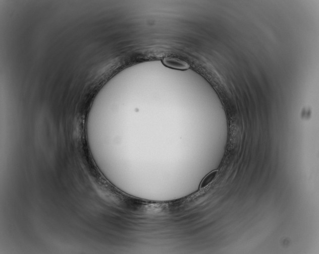 X0000099580126200806061636