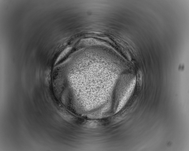 X0000099580127200806061636