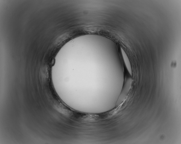 X0000099580128200806061636