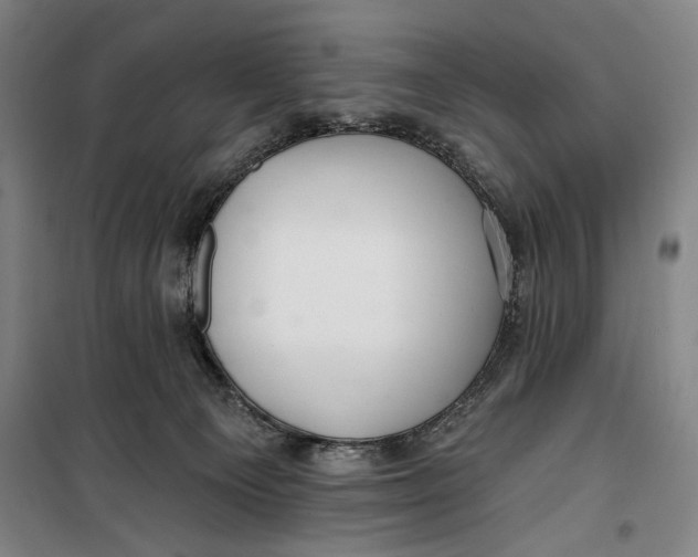 X0000099580129200806061636