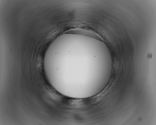 X0000099580132200806061636