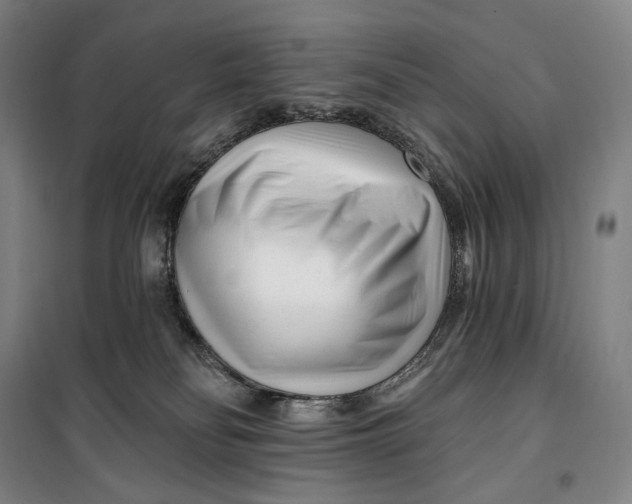 X0000099580134200806061636