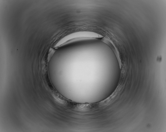 X0000099580136200806061636