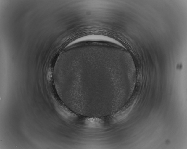 X0000099580137200806061636