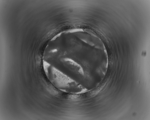 X0000099580139200806061636