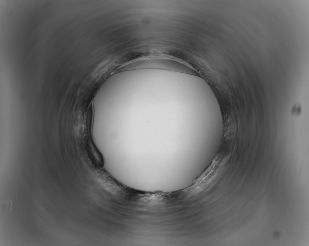 X0000099580140200806061635