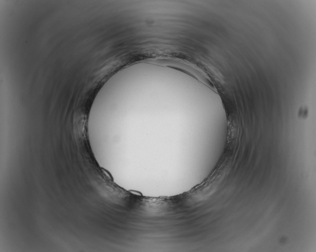 X0000099580141200806061635