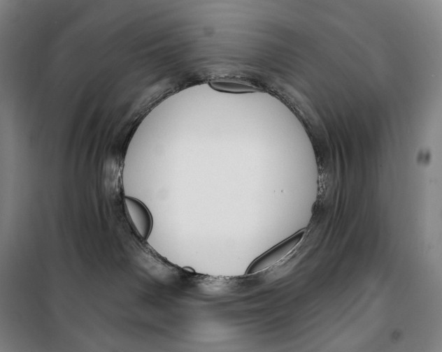 X0000099580142200806061635