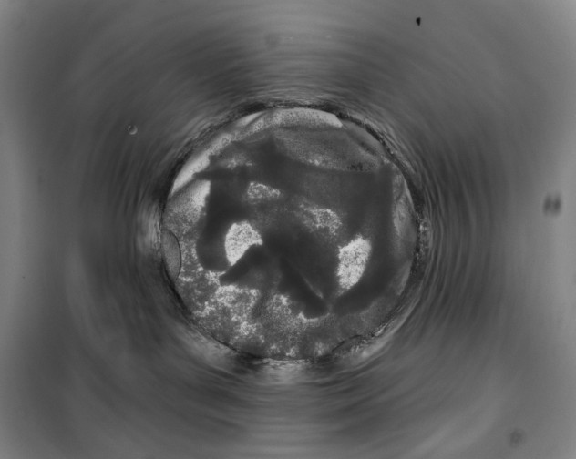 X0000099580143200806061635