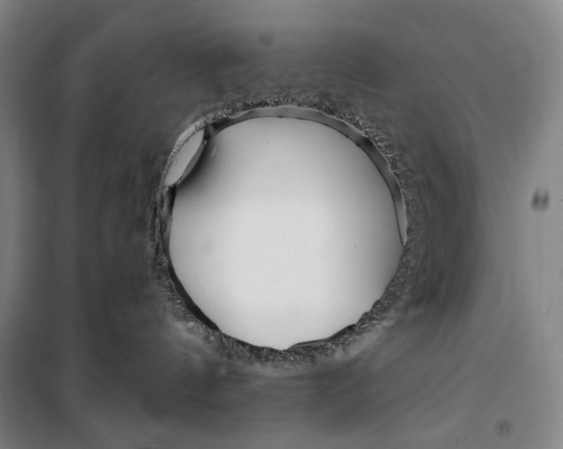 X0000099580144200806061635