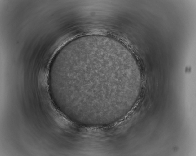 X0000099580146200806061635