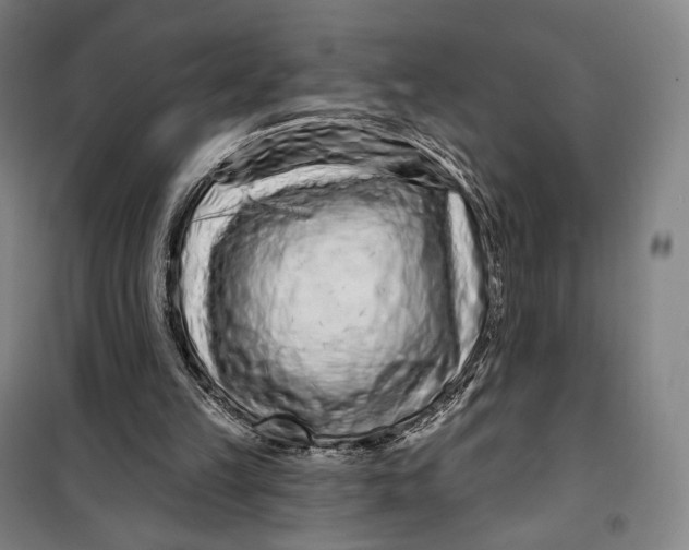 X0000099580149200806061635