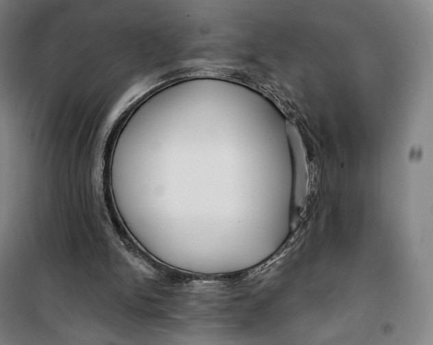 X0000099580150200806061635