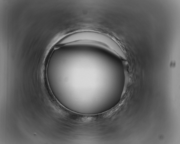 X0000099580152200806061635