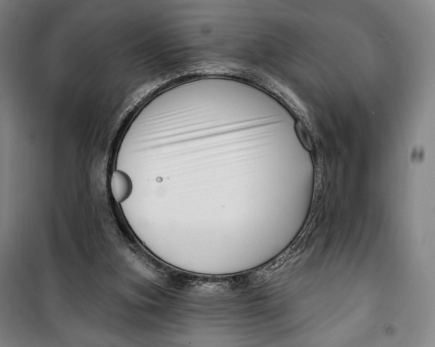 X0000099580155200806061635