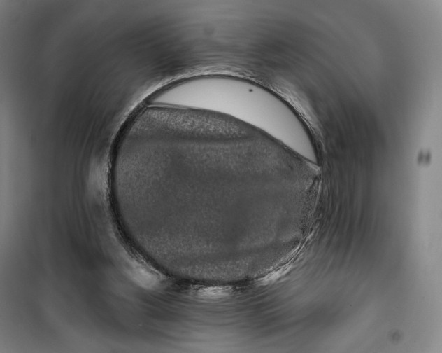 X0000099580156200806061635