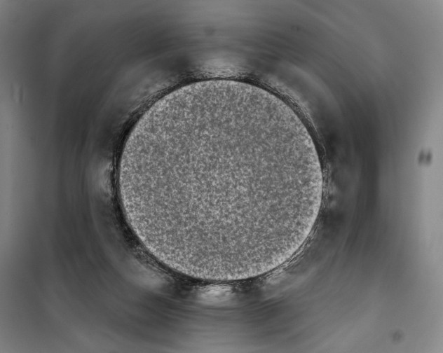 X0000099580162200806061635