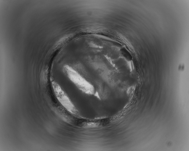 X0000099580163200806061635