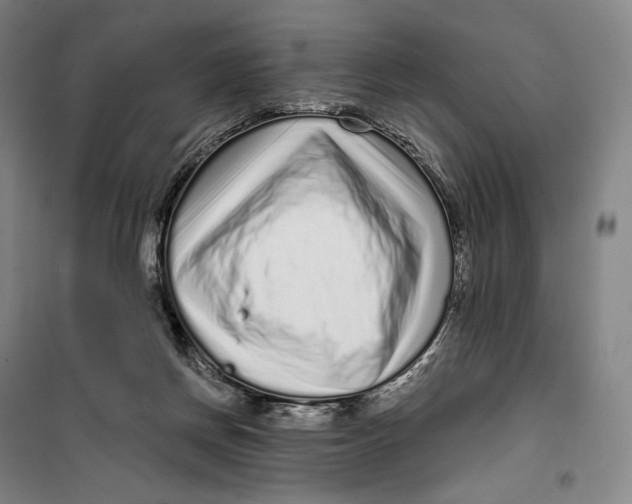 X0000099580166200806061635