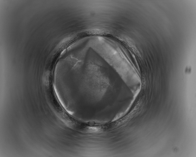 X0000099580167200806061635