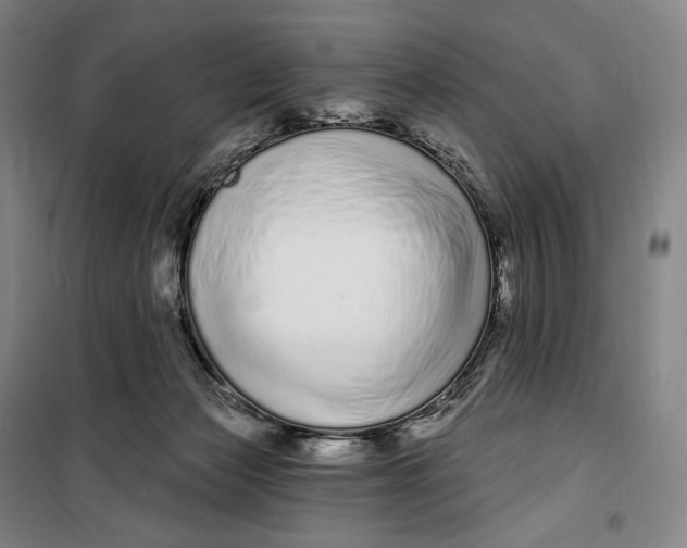 X0000099580173200806061635