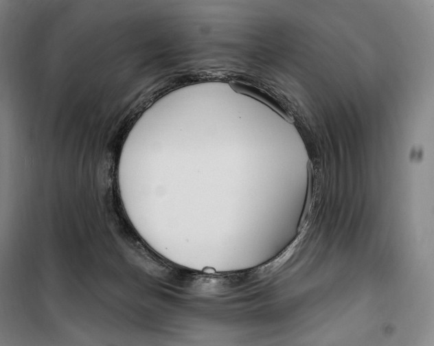 X0000099580174200806061635