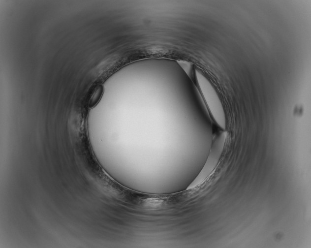 X0000099580176200806061635