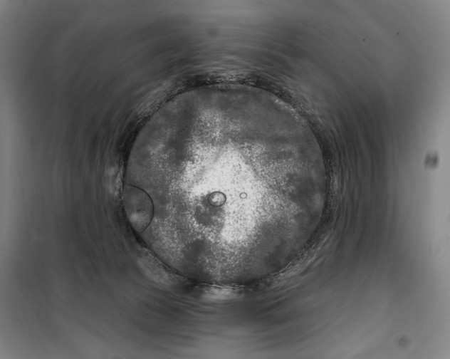 X0000099580177200806061635