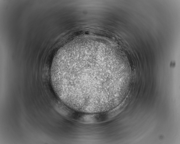 X0000099580178200806061635