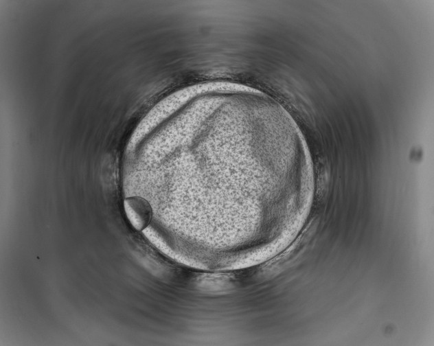 X0000099580179200806061635